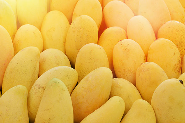 Mango Season