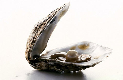 Beautiful pearl inside of an oyster shell