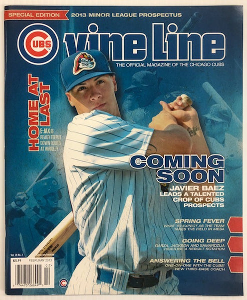 Anthony Rizzo, Cubs Vine Line Blog