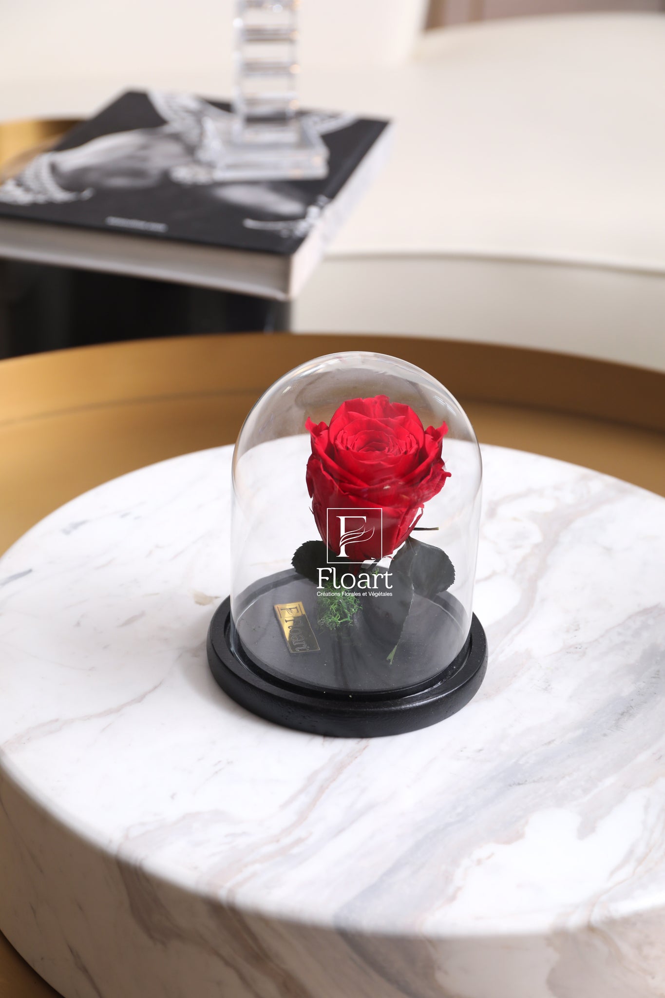 Rose éternelle sous cloche rouge Small – FLOART Maroc