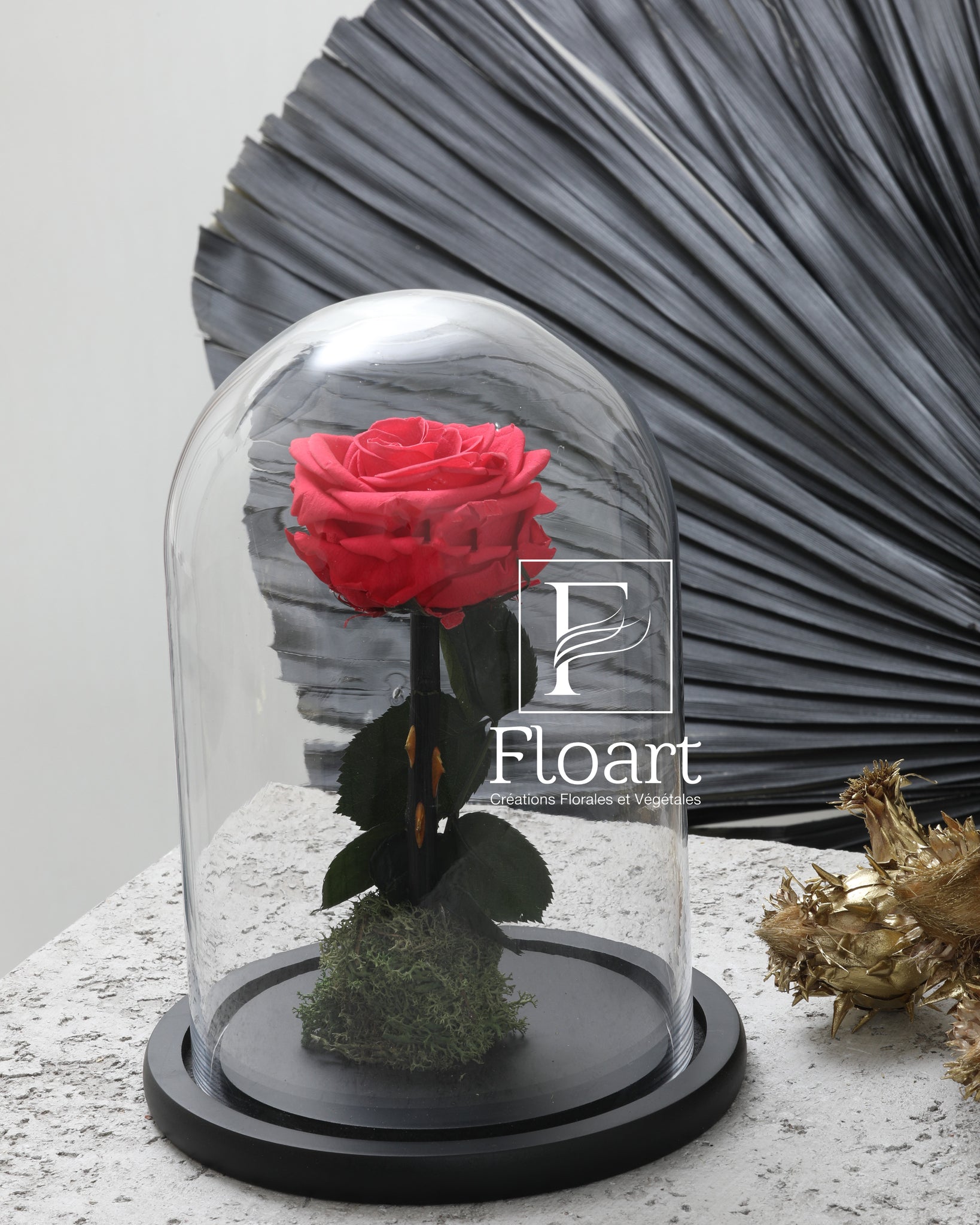 Rose éternelle rouge sous cloche Medium – FLOART Maroc