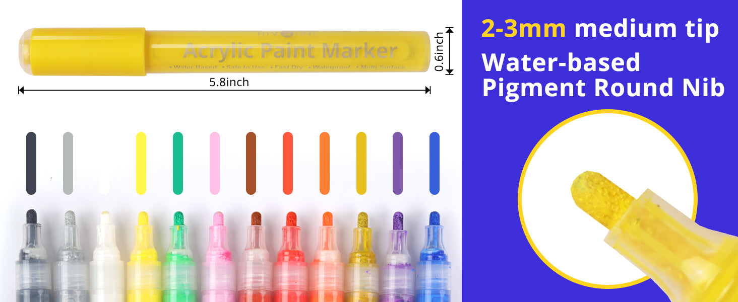  HTVRONT Acrylic Paint Pens - 24 Color Dual Tip Acrylic