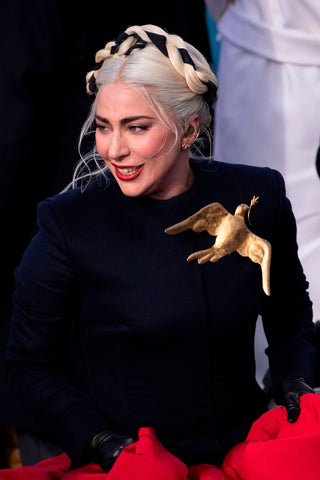 Lady Gaga wearing brooch