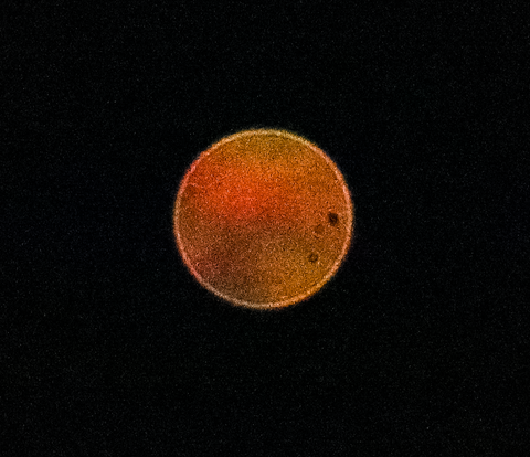 Venus Aunahme mit 1/60 Sekunde belichtet ISO 40 000 Blende 00 original Color