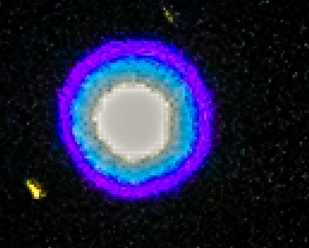 Deneb aus dem Sternbild Schwan beobachtet am 08.09.2023 by ralf christoph kaiser