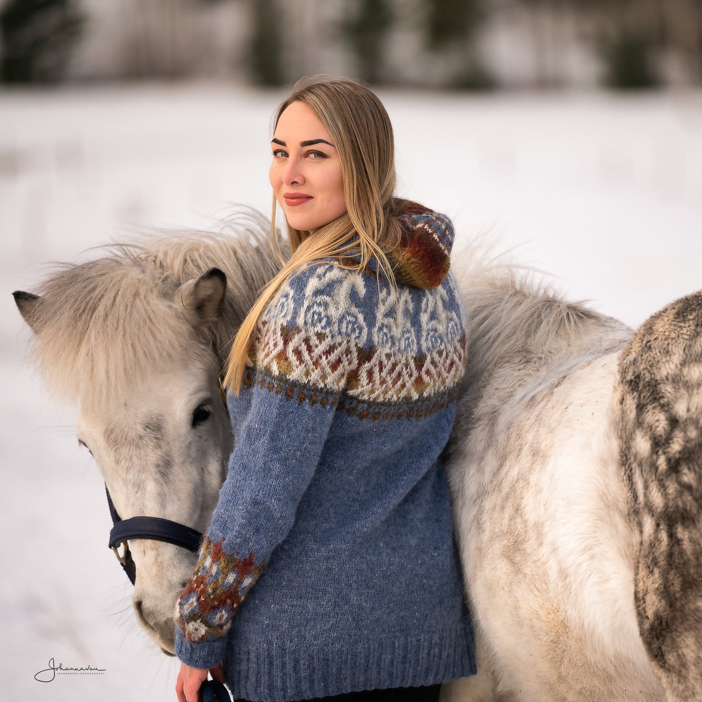 Sleipnir by Johanna Vaurio-Teräväinen – Arteeni