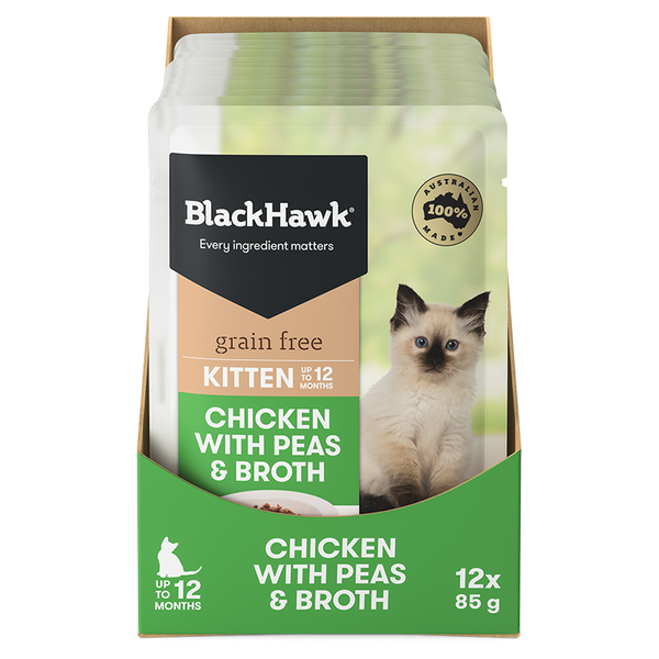 can kittens have chicken broth