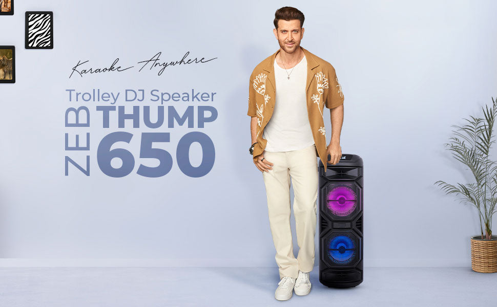 Zeb-Thump 650-1