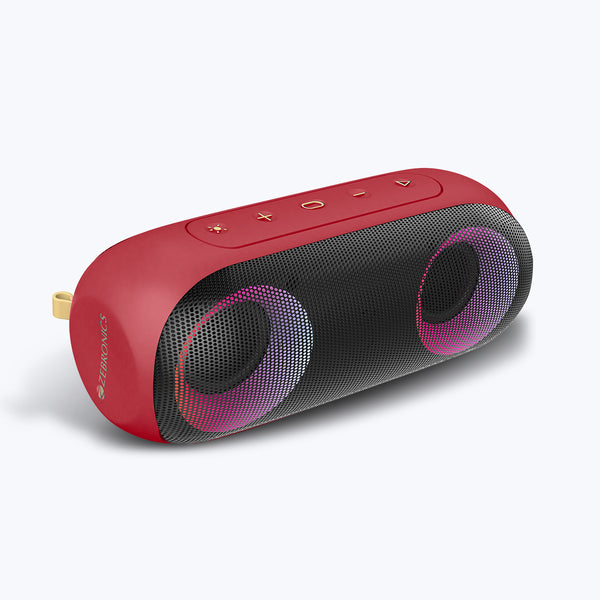 zebronics fm speaker