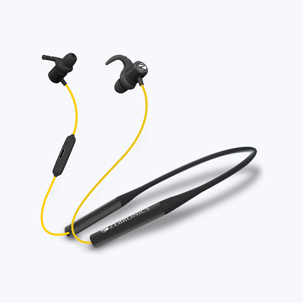 zebronics wireless bt earphone with mic price