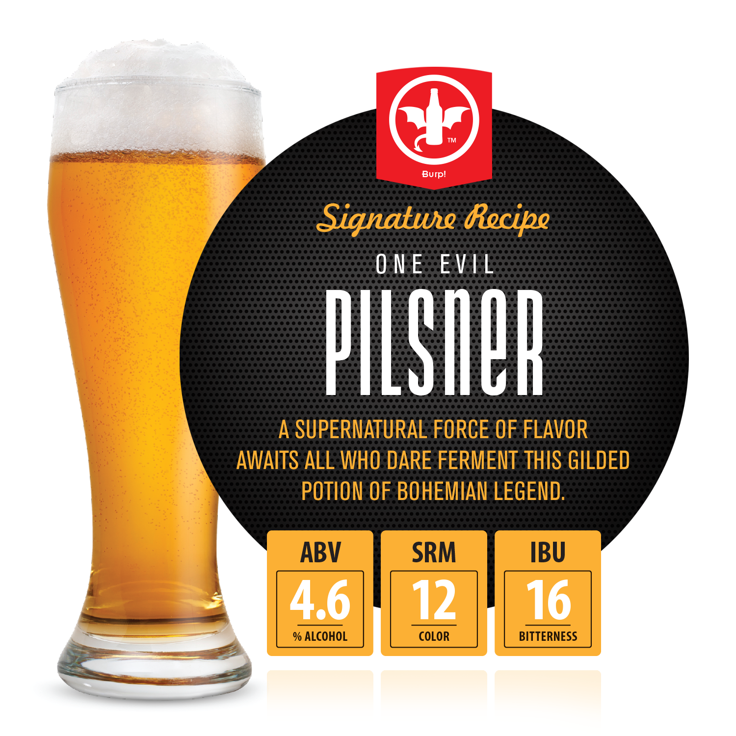 pilsner beer making kit