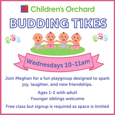 Budding Tikes Play Group Graphic