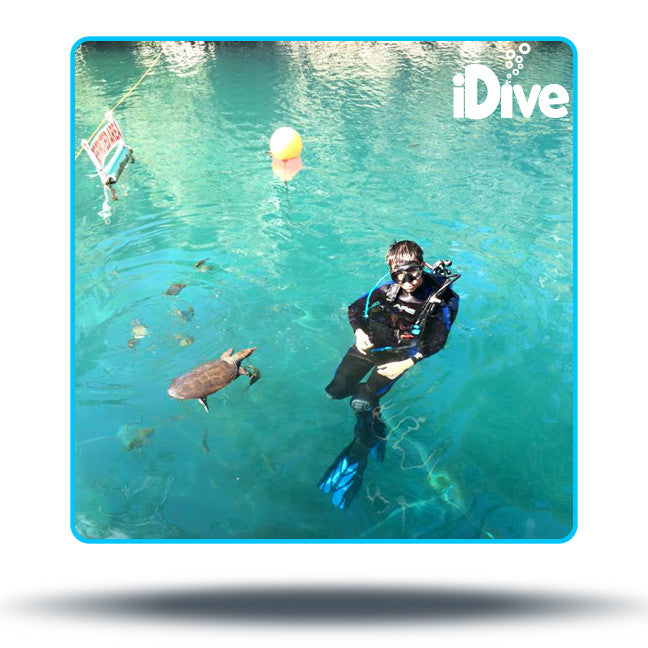 idive florida st. augustine fl