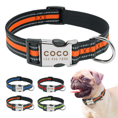 collars and leashes for large dogs