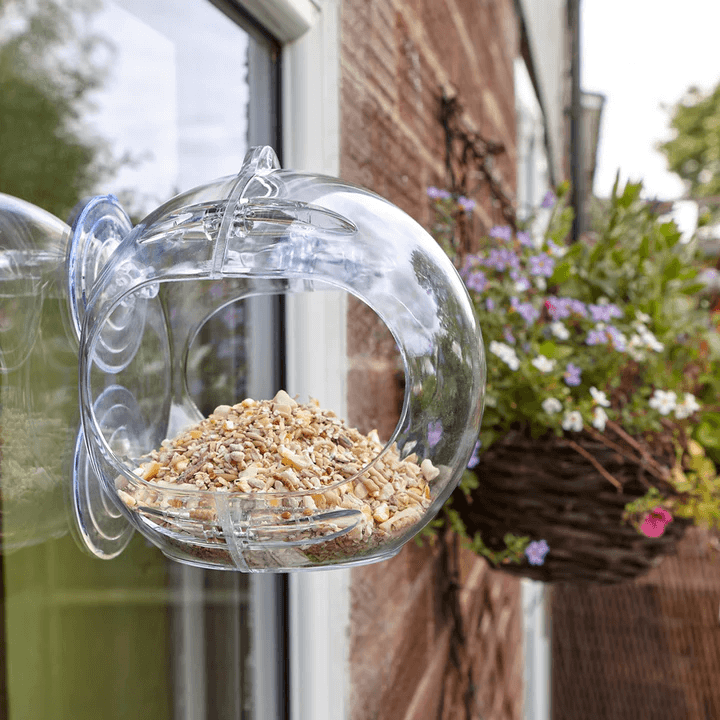 hanging glass globe bird feeder