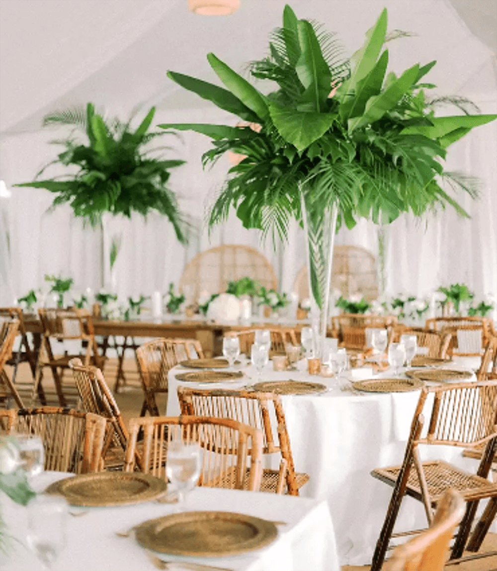 What Types of Trees Are Used for Wedding Centerpieces – Nuptio