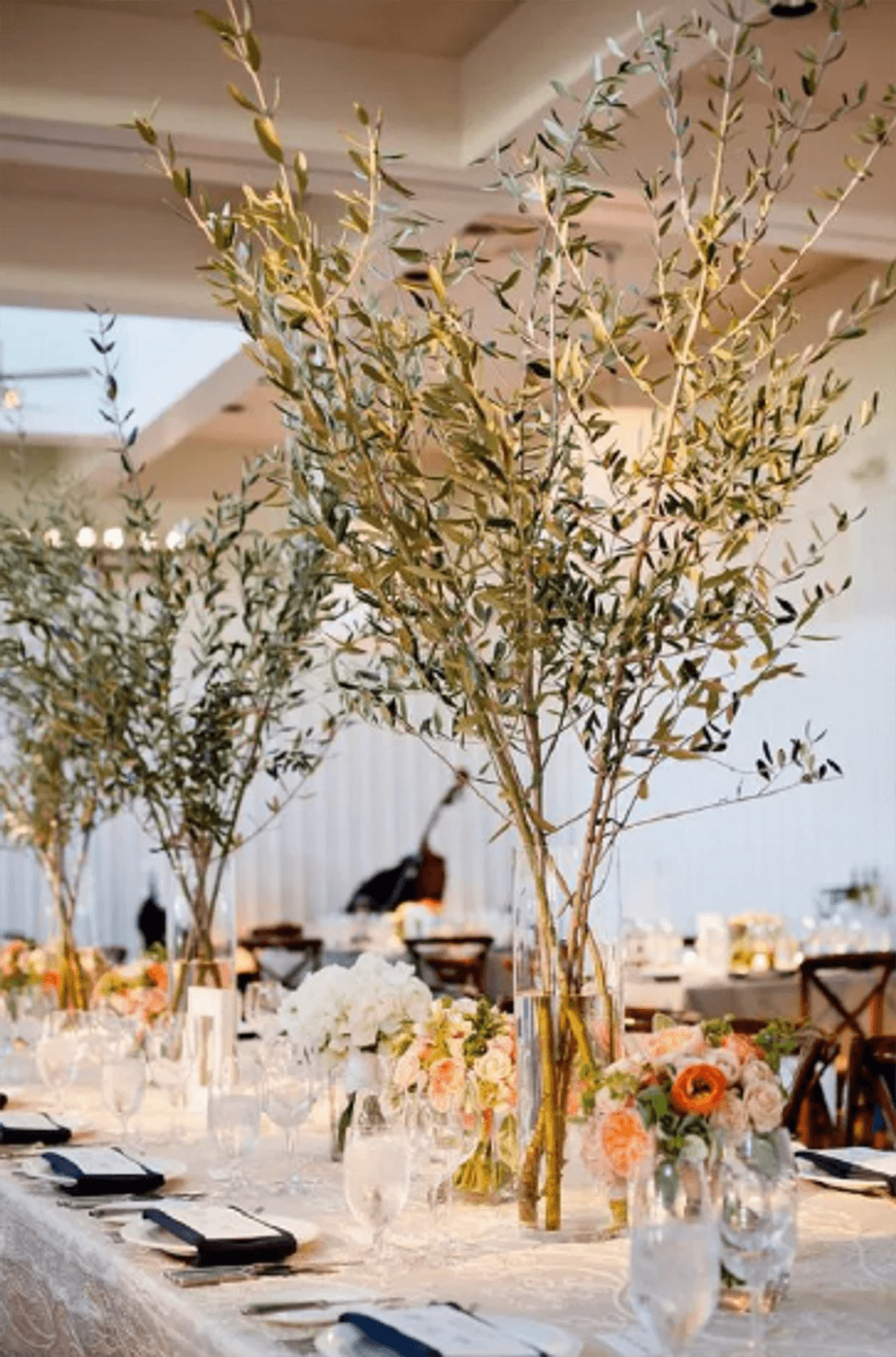 What Types of Trees Are Used for Wedding Centerpieces – Nuptio