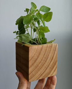 Herb garden kit