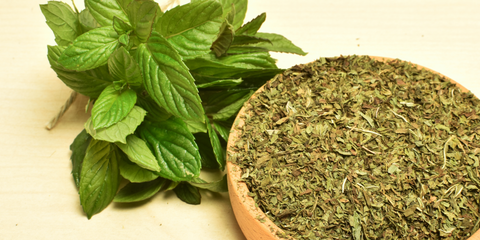 how to dry and store mint