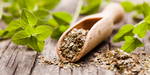 How to dry and store oregano