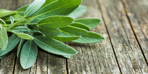 how to dry and store sage