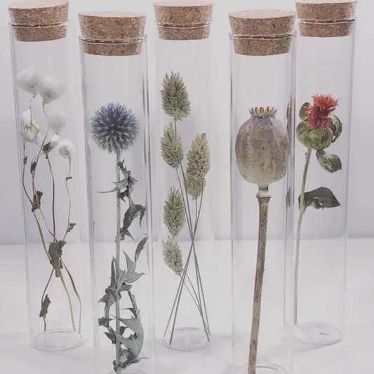 Pressed Flowers in Frame - Beautiful Flower Art – Sprigbox