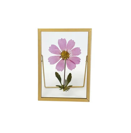 DIY Pressed Flower Frame Kit – Cottle and Gunn