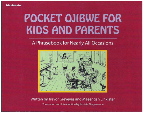 asowacikanisa: A Guide to Small Métis Bags: Gregory Scofield, Amy Briley:  9781926795935: Books 