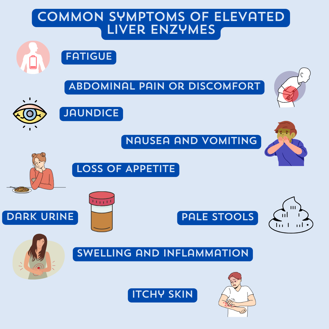 Common Symptoms Of Elevated Liver Enzymes