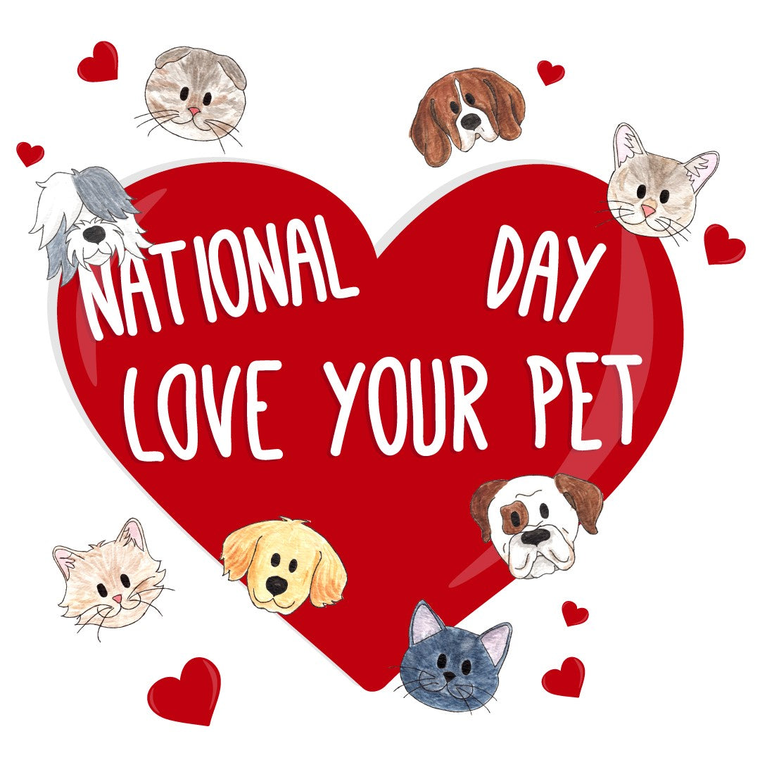 National Love Your Pet Day To Home From London