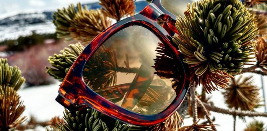 Detour Sunglasses Review: Our Honest Opinion – DIY Make Up