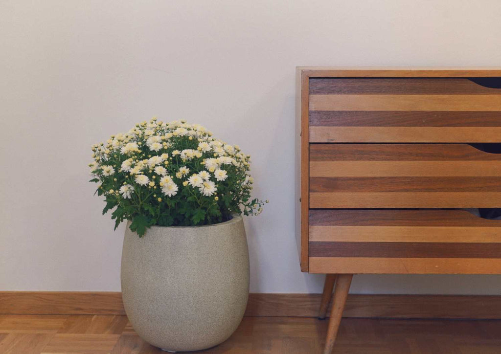 Fiberglas Pflanzkübel im Innenbereich neben einem Schrank