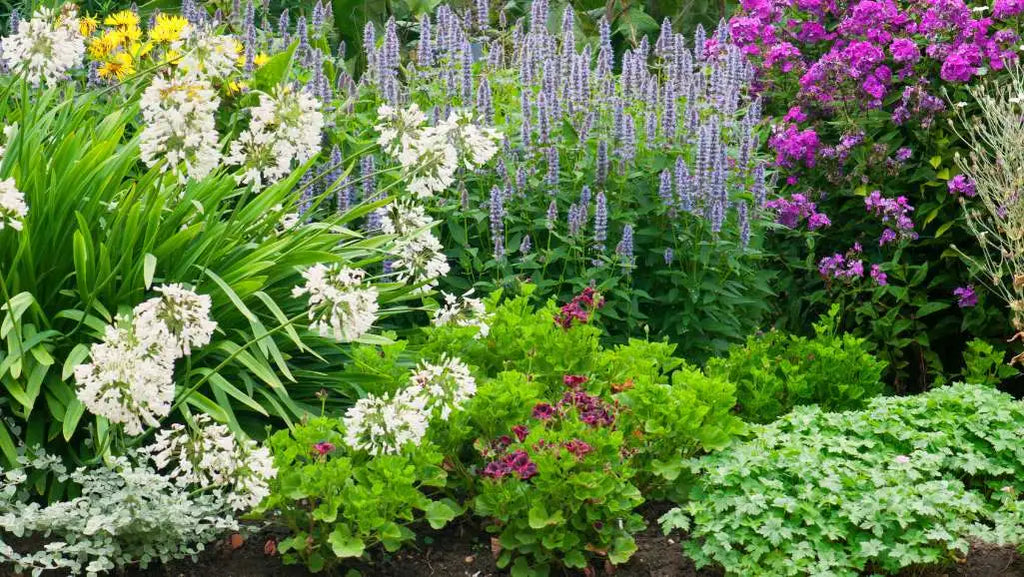 Blühendes Staudenbeet in einem Garten