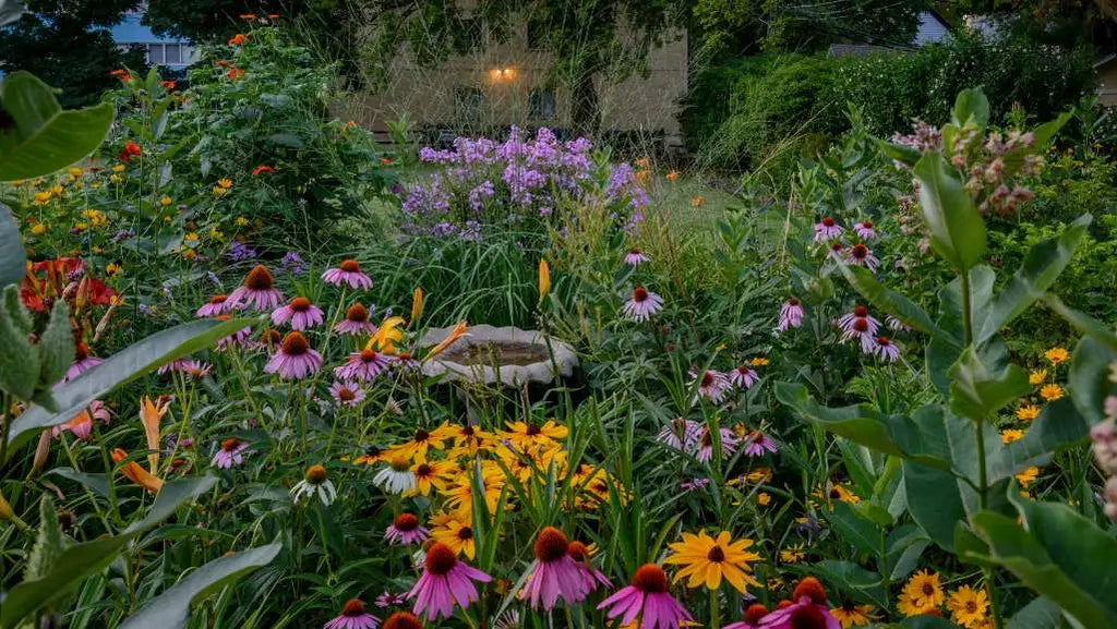 Blühendes Staudenbeet in einem Garten