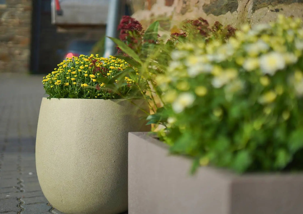 Zwei Pflanzkübel aus Fiberglas stehen hintereinaner und sind mit gelben Pflanzen bepflanzt
