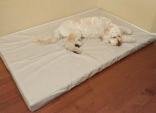 white dog bed