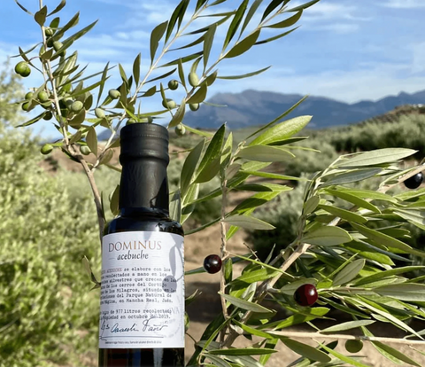 Polyphenol-Rich Olive Oil