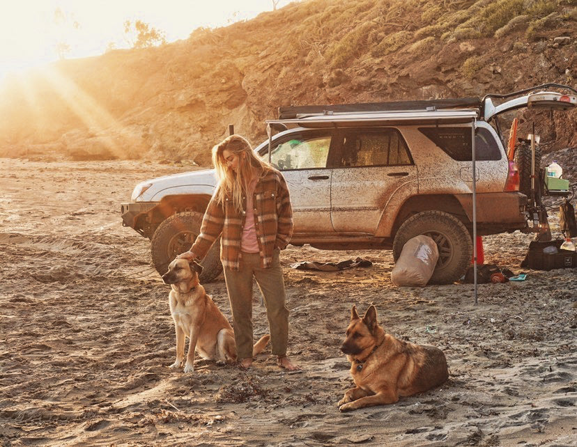 Rachel on the beach with her 2 dogs