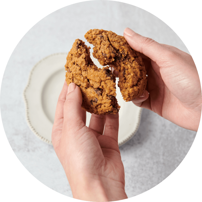 Oatmeal Raisin On Hover Image