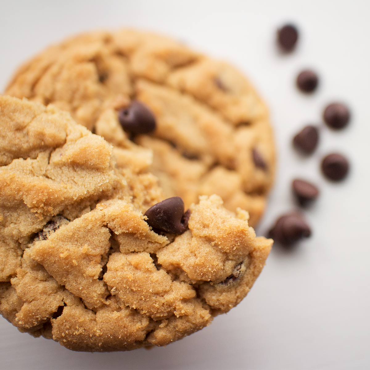 Cookies on a pan