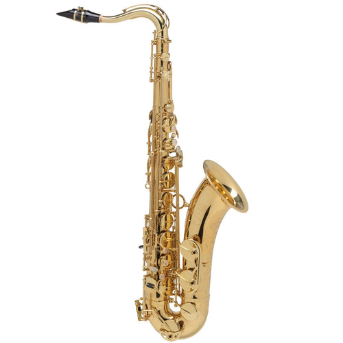 SELMER SAS411C Step Up Intermediate Alto Sax, Copper Brass Body & Keys -  Ray's Midbell Music