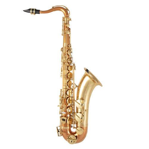 Selmer SAS711 Professional Alto Saxophone - Lacquer
