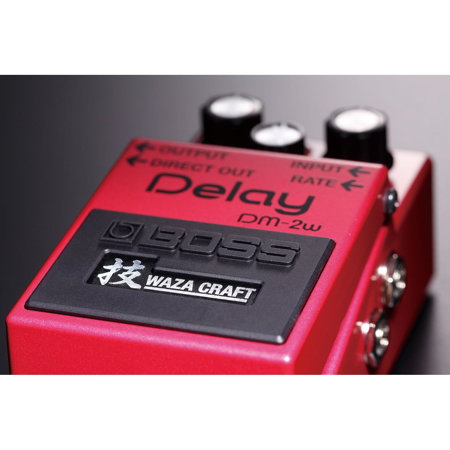 Boss DM-2W Waza Craft Analog Delay Effects Pedal – Easy Music Center