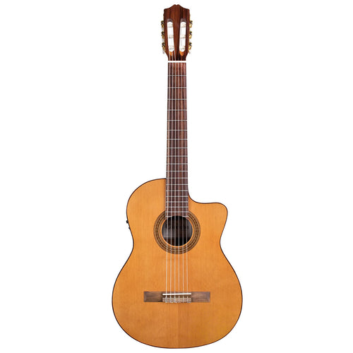 Ibanez FRH10NNTF FRH Thin-Body Nylon String Acoustic/Electric