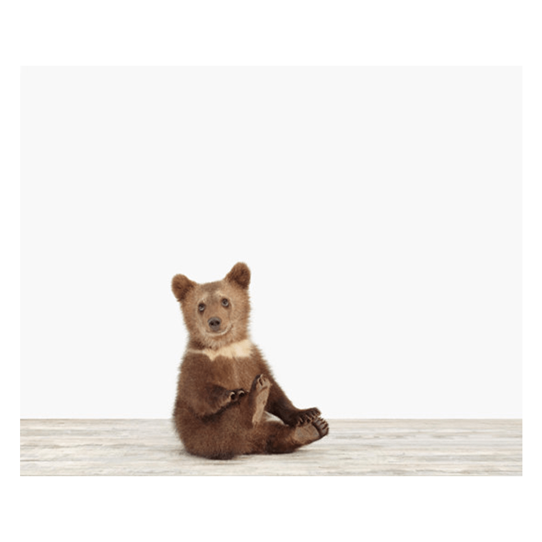 Bear Cub Print - 11" X 17"