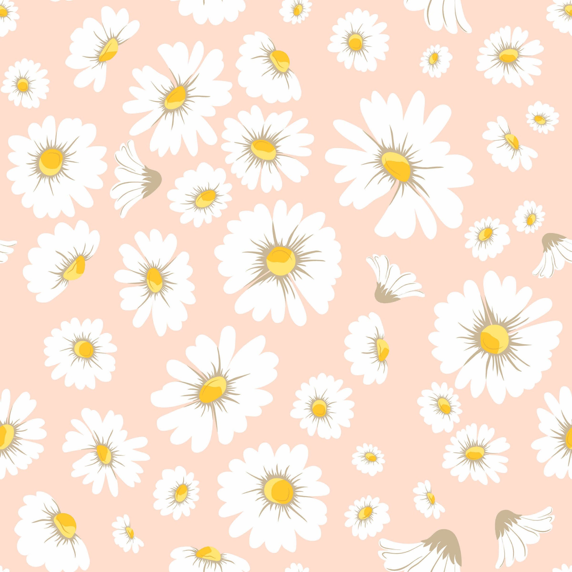 Daisy Bloom Wallpaper  Cute Floral Nursery Wallpaper  Project Nursery