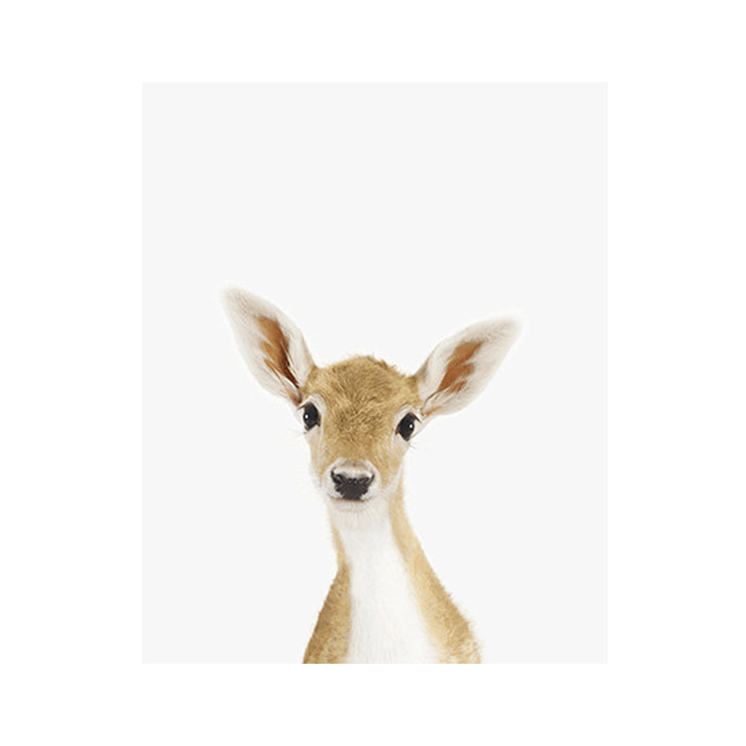 Baby Deer Little Darling Print - 11" X 17"