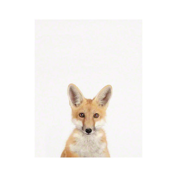 Baby Deer — The Animal Print Shop