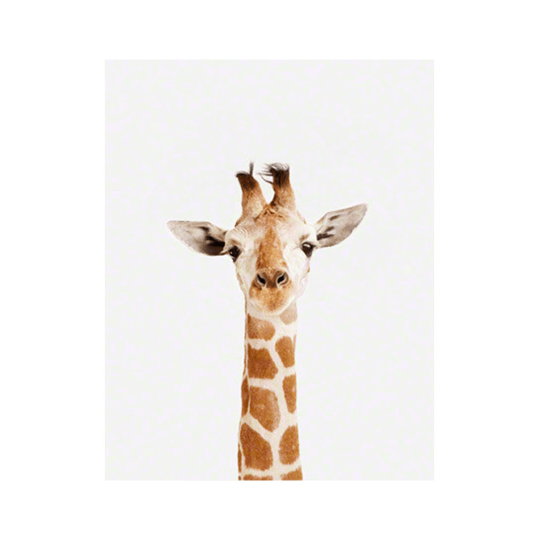 Baby Giraffe Little Darling Print - 8.5" X 11"