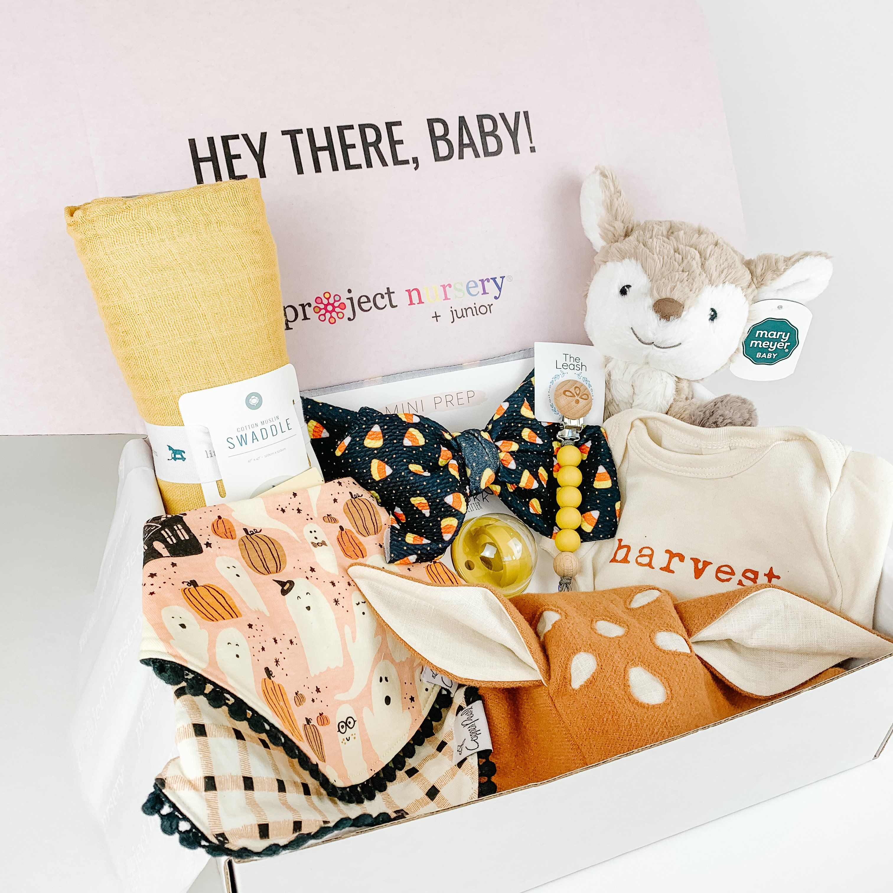 Halloween Baby Gift Box By Project Nursery